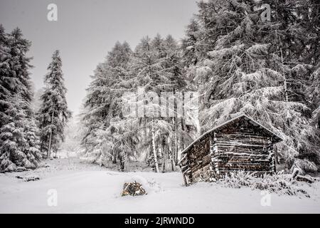 Schnee fällt auf eine alte Scheune in einer Lichtung von Bäumen Stockfoto