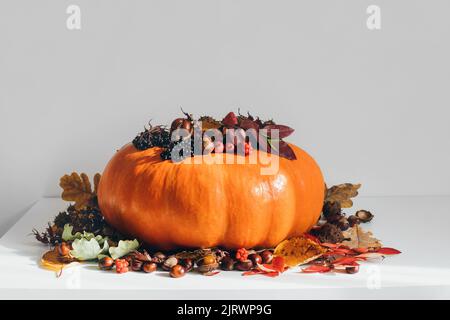 Herbstschmuck mit Kürbis, trockenen Blättern und Kastanien auf weißem Hintergrund. Thanksgiving, Herbstkonzept. Stockfoto