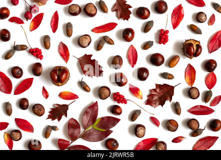 Herbstmuster mit Blättern, Kastanien, Eicheln und Beeren isoliert auf weißem Hintergrund. Schöne Herbstkomposition. Draufsicht, flach liegend. Stockfoto