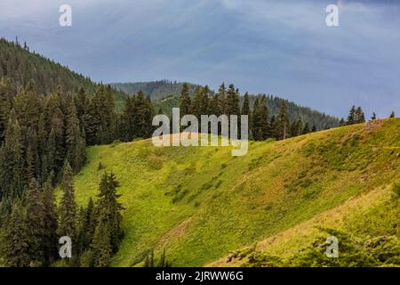 Suberalpine Wiese an den Flanken des Evergreen Mountain, mit einem rauchigen Tal dahinter, unter dem Aussichtspunkt, in der Cascade Range, Mt. Baker-Snoqualmie Nation Stockfoto