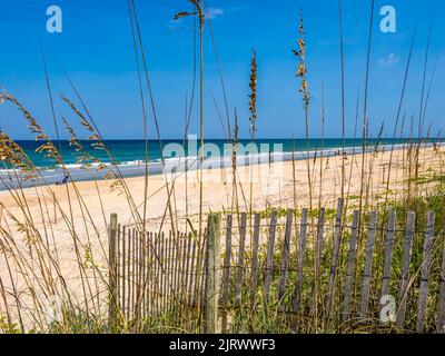 Schneezaun in Sanddünen am Strand des Atlantischen Ozeans im Washington Oaks Gardens State Park in Palm Coast Florida USA Stockfoto
