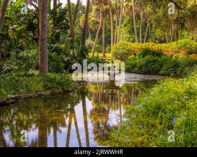 Teich im Washington Oaks Historic District von Washington Oaks Gardens State Park in Palm Coast Florida USA Stockfoto