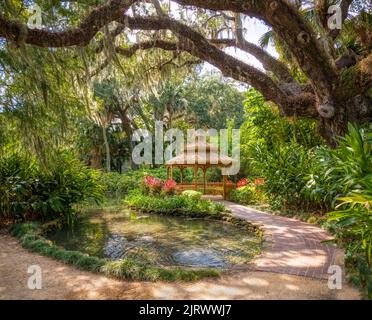 Teich im Washington Oaks Historic District von Washington Oaks Gardens State Park in Palm Coast Florida USA Stockfoto