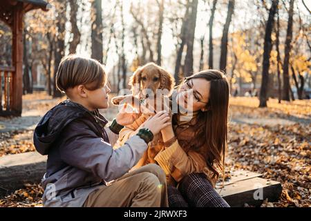 Haustierpflege-Tipps für den Herbst. Glückliche Familie Mutter und Teenager Junge Sohn gehen und Spaß mit Cocker Spaniel Welpen Stockfoto