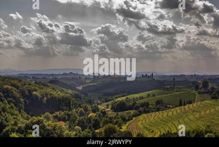 Schwere Wolken auf Weinbergen Ansicht mit Kirche in der Ferne Stock Foto Stockfoto