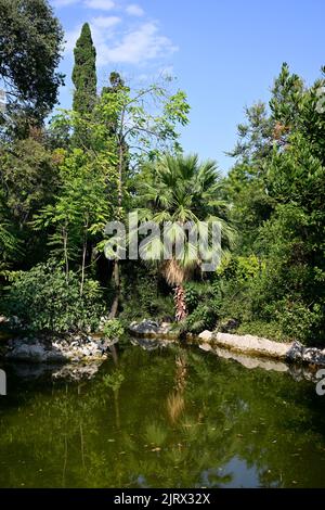 Teich und Grün im Nationalgarten in Athen, Griechenland Stockfoto