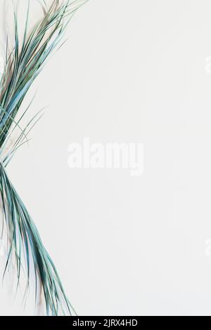 Tropische Pflanzenzusammensetzung Palmblätter Dekor Stockfoto