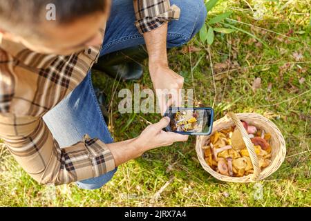 Mann mit Smartphone und Pilzen im Korb Stockfoto