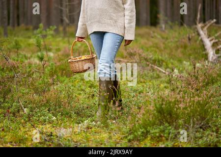 Frau mit Korb Pilze im Wald Stockfoto