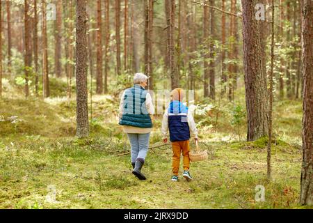 Großmutter und Enkel mit Körben im Wald Stockfoto