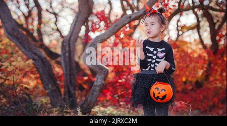 Junges Mädchen im schwarzen Kostüm geht Trick oder behandeln. Kleine Hexe, Kinder mit Jack-o-Laterne. Kinder mit Süßigkeiteneimer im Herbstwald. Frohe Halloween. Stockfoto