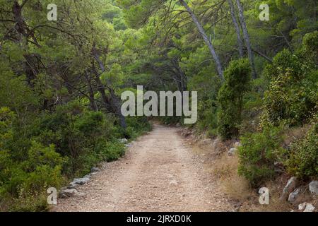 Ein Pfad im Nationalpark, Mljet, Kroatien Stockfoto