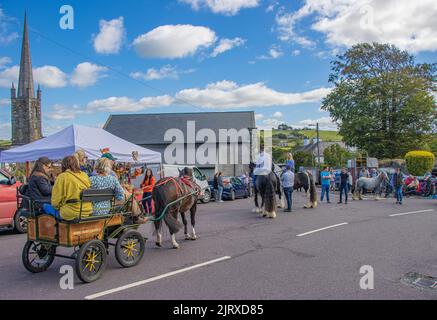 Ross Horse Fair, 26.. August 2022 Stockfoto