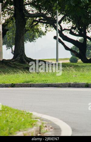 Flamengo-Ufer - Rio de Janeiro - Brasilien Stockfoto