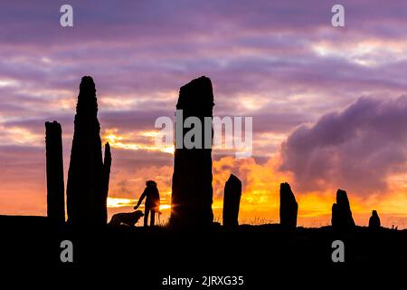 Orkney, Großbritannien. 26. August 2022. Eine Frau geht mit ihrem Hund, als die Sonne am Ring of Brodgar, Orkney, untergeht. Die 5.000 Jahre alten massiven Steine sind Teil des neolithischen Orkney-Weltkulturerbes. Kredit: Peter Lopeman/Alamy Live Nachrichten Stockfoto