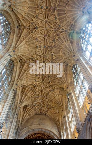 Fächergewölbe Decke des Kirchenschiffs in der Sherborne Abbey (Abbey Church of St. Mary the Virgin), Church Close, Sherborne, Dorset, England, Vereinigtes Königreich Stockfoto