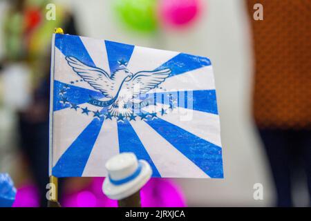 Flagge der Samba-Schule Portela, Rio de Janeiro, Brasilien - 17. Februar 2019: Flagge der Samba-portela-Schule während der technischen Probe im Sambodrom Stockfoto