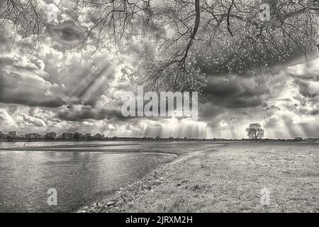 Eine Graustufenaufnahme unter Baum eines Sees auf einem Feld unter wolkendem Himmel Stockfoto