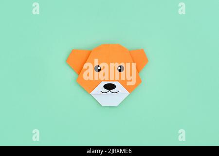 Origami-Bär. Schritt-für-Schritt-Fotoanleitung auf grünem Hintergrund. DIY-Konzept. Step14 Stockfoto