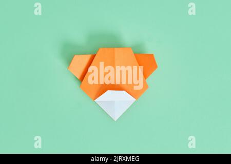 Origami-Bär. Schritt-für-Schritt-Fotoanleitung auf grünem Hintergrund. DIY-Konzept. Step11 Stockfoto