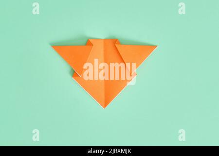 Origami-Bär. Schritt-für-Schritt-Fotoanleitung auf grünem Hintergrund. DIY-Konzept. Step6 Stockfoto