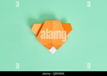 Origami-Bär. Schritt-für-Schritt-Fotoanleitung auf grünem Hintergrund. DIY-Konzept. Step10 Stockfoto