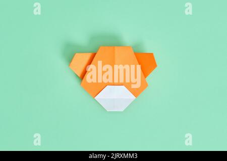 Origami-Bär. Schritt-für-Schritt-Fotoanleitung auf grünem Hintergrund. DIY-Konzept. Step12 Stockfoto