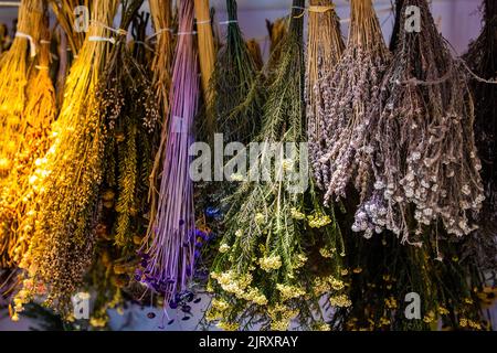Verschiedene natürliche Kräuter, die auf dem Gestell getrocknet werden, um sie zu dekorieren oder Tee mit Lavendel und anderen zu trinken Stockfoto