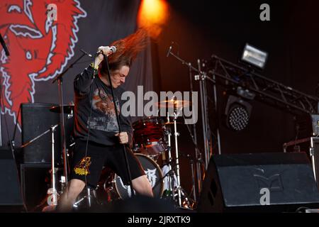 POWERTRIP HELLFEST, Clisson, FRANKREICH, 21/06/2019 Florent 'MrCrash' B. Stockfoto