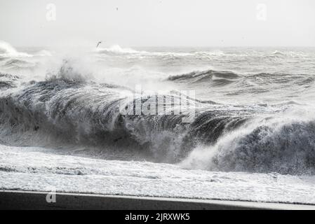 Riesige Meereswellen krachen an einem stürmischen Tag am Strand von Reynisfjara in der Nähe von Vík í Mýrdal, Südregion, Island, zusammen Stockfoto