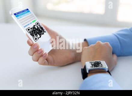 Hände mit virtuellem Immunitätspass auf dem Smartphone Stockfoto
