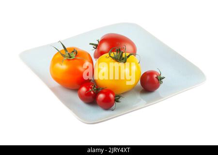 Sechs frische Bio-Tomaten auf einem Teller mit weißem Hintergrund. Verschiedene Größen und Farben: Rot, gelb und orange Stockfoto