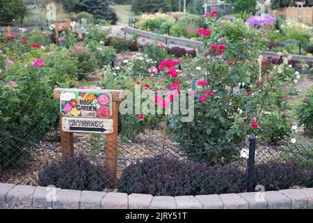 Rosengarten in den Botanischen Gärten von Silver Springs, einer Gemeinde in Calgary, Alberta, Kanada Stockfoto