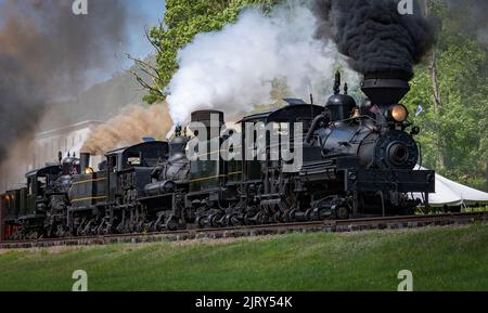 Blick auf die drei Shay Dampfmaschinen, auf eine Dampfparade mit allen drei miteinander verbundenen Motoren, die an einem sonnigen Sommertag schwarzen Rauch und weißen Dampf blasen Stockfoto