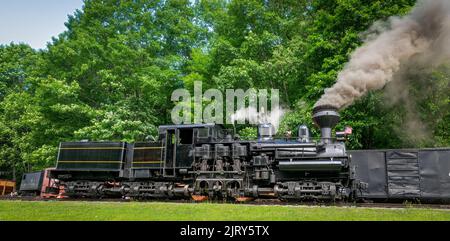 Ein Blick auf eine antike Shay Dampfmaschine, die an einem sonnigen Tag aufwärmt, Rauch und Dampf bläst Stockfoto