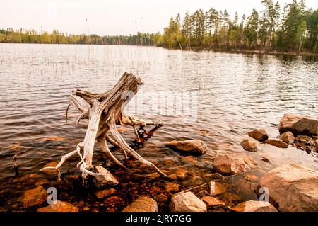 Cooles Landschaftsbild über Landschaft i schweden. Sonnenuntergang und Meer. Schöne Landschaft über der schönen Stadt in schweden Stockfoto