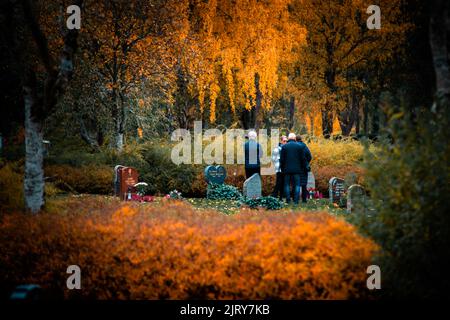 Schöner Herbsttag im Herbst. Ein Herbsttag in Falkenberg Schweden. Schönes rotes Blatt Stockfoto