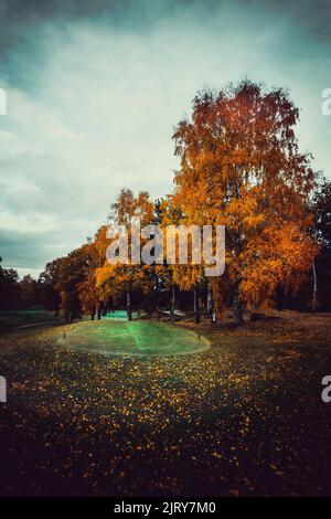 Schöner Herbsttag im Herbst. Ein Herbsttag in Falkenberg Schweden. Schönes rotes Blatt Stockfoto