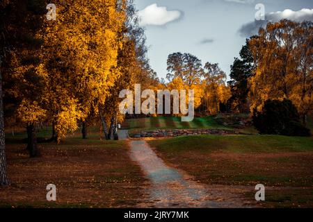 Schöner Herbsttag im Herbst. Ein Herbsttag in Falkenberg Schweden. Schönes rotes Blatt Stockfoto