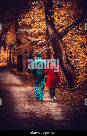 Schöner Herbsttag im Herbst. Ein Herbsttag in Falkenberg Schweden. Schönes rotes Blatt Stockfoto