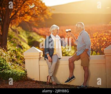 Heres to Love, das ein Leben lang dauerte. Ein glückliches Seniorenpaar genießt ein Glas Wein, während Sie einen Weinberg erkunden. Stockfoto