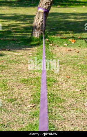 Lila Slackline in einem Baum in einem Park in Rio de Janeiro in Brasilien stecken. Stockfoto