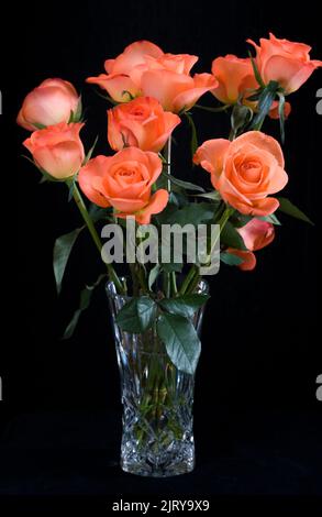 Bouquet von orange Rosen Stockfoto