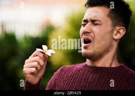 Die Allergiesaison hat ihn zum Niesen gebracht. Ein junger Mann niest, nachdem er eine Blume riecht. Stockfoto