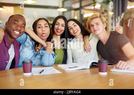 Nachholbedarf in der Cafeteria. Porträt einer Gruppe glücklicher Studenten, die in einem Café eine Studiensitzung machen. Stockfoto