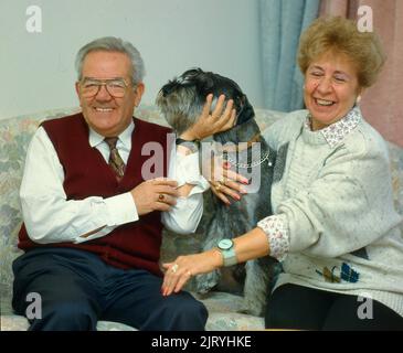 Älteres Paar spielt mit mittlerem Schnauzer Stockfoto