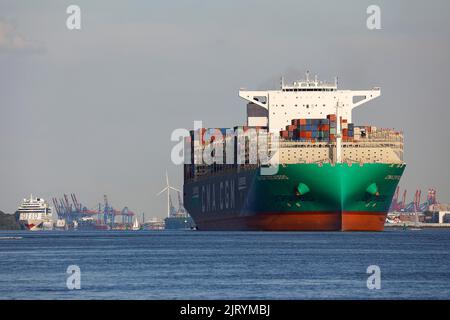 Das Containerschiff CMA CGM TROCADERO mit Flüssiggas LNG verlässt den Hamburger Hafen an der Elbe, Hamburg Stockfoto