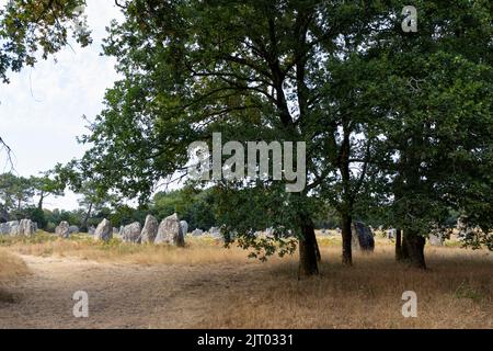 Megalithische Menhire in der Landschaft bei Carnac, Abendlicht, Bretagne, Frankreich Stockfoto