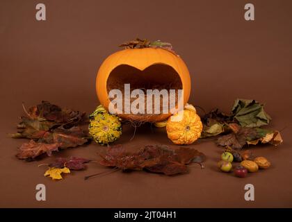 Neugeborene Fotografie Hintergrund / Hintergrund Cinderella Kürbis Kutsche Herbst halloween Stockfoto