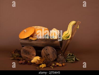 Neugeborene Fotografie Kürbis Kutsche Schubkarre Hintergrund / Hintergrund Herbst halloween Stockfoto